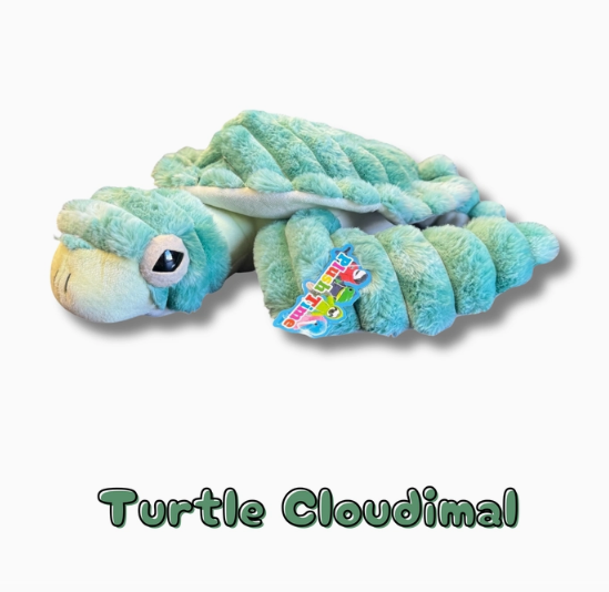 Turtle Cloudimal - Case of 24