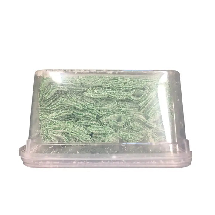 Bulk Candy Belts – Sour Watermelon - Case of 19.8 lbs