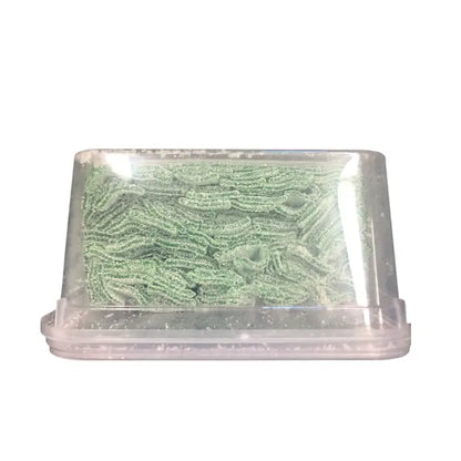 Bulk Candy Belts – Sour Watermelon - Case of 19.8 lbs